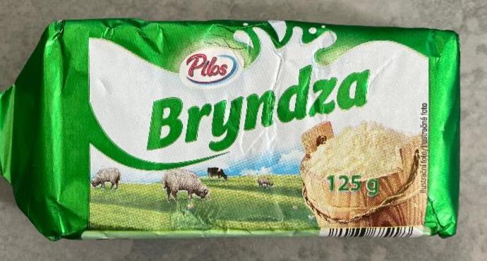 Fotografie - Bryndza Pilos