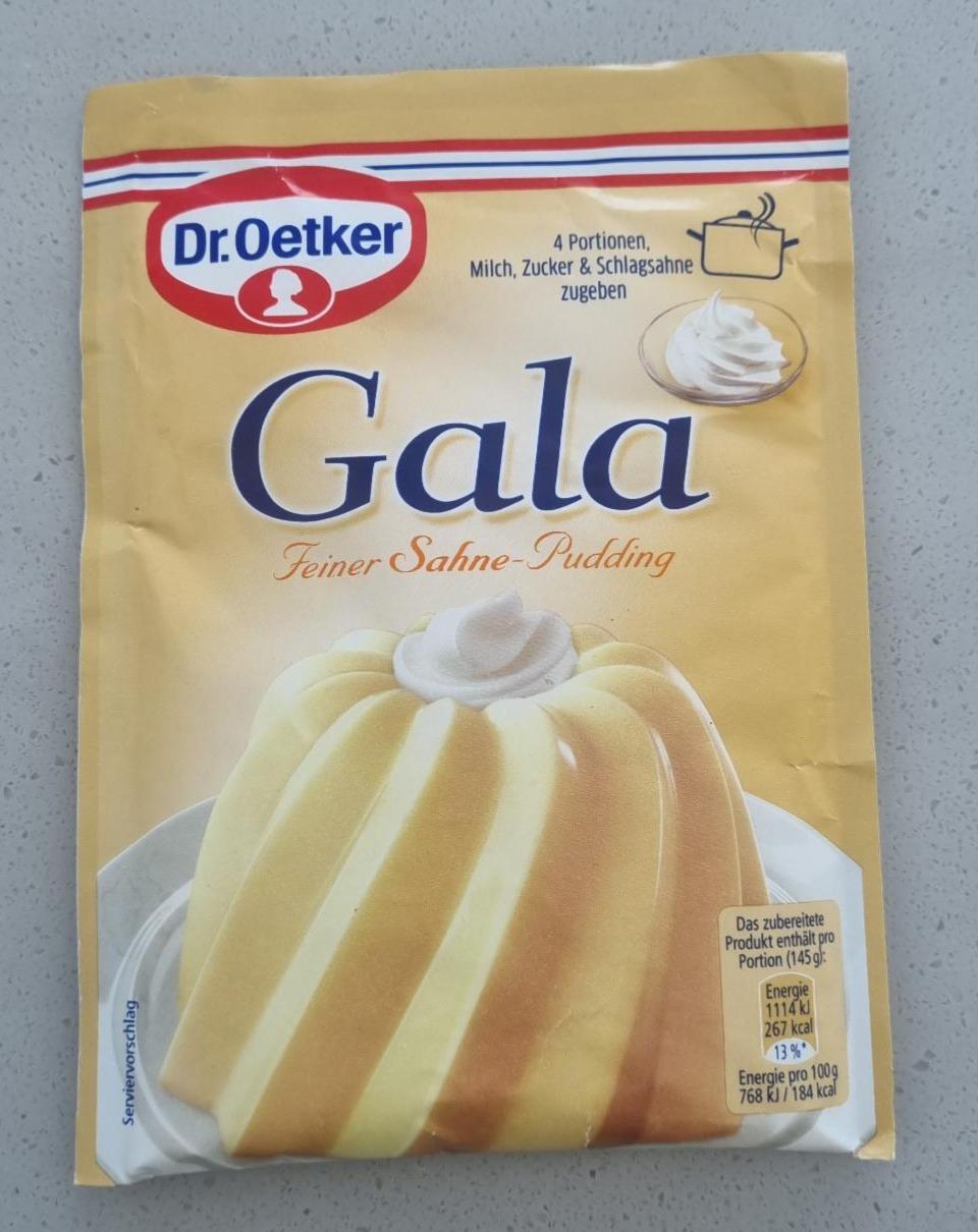 Fotografie - Gala Feiner Sahne-Pudding Dr.Oetker