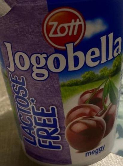 Fotografie - Jogobella Lactose Free višeň Zott