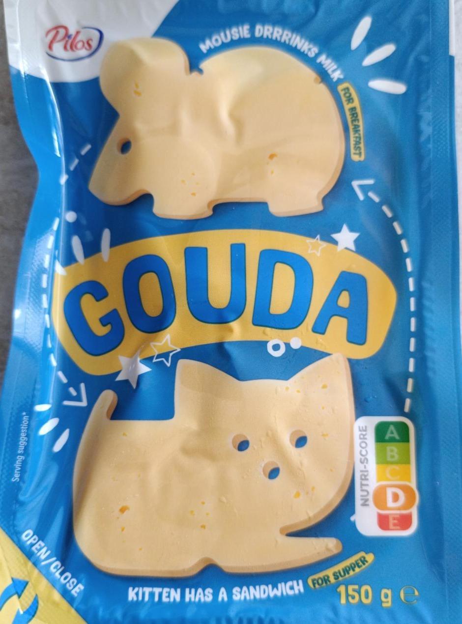 Fotografie - Gouda Pilos