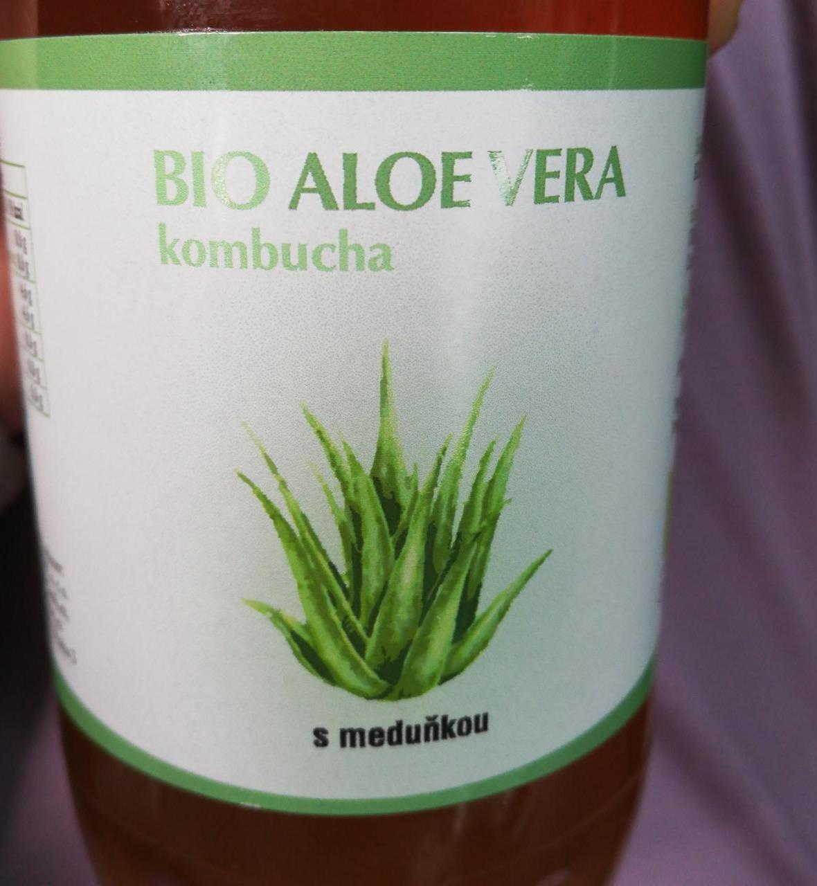 Fotografie - kombucha s meduňkou Bio aloe vera