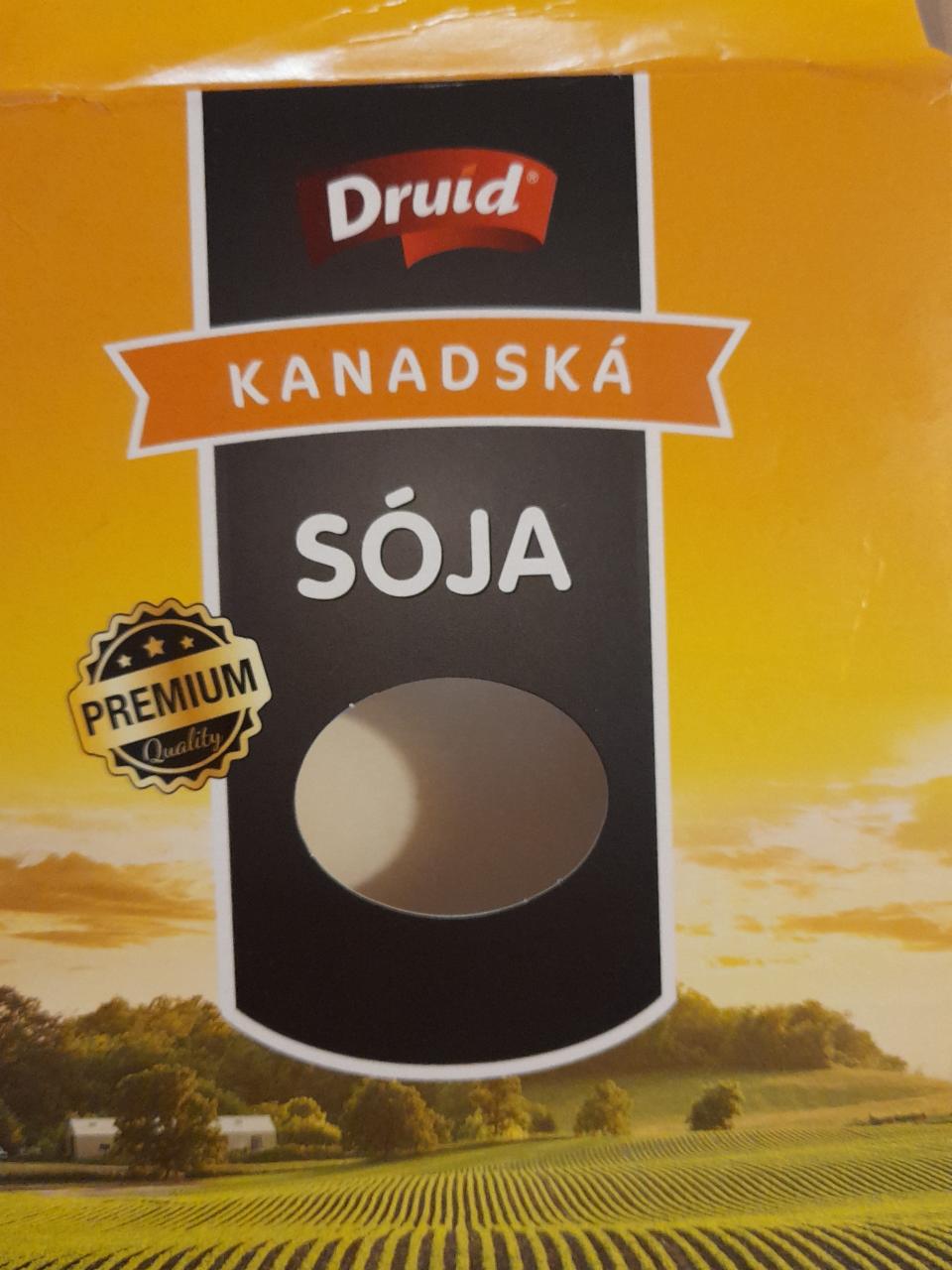 Fotografie - Sója kanadská Druid