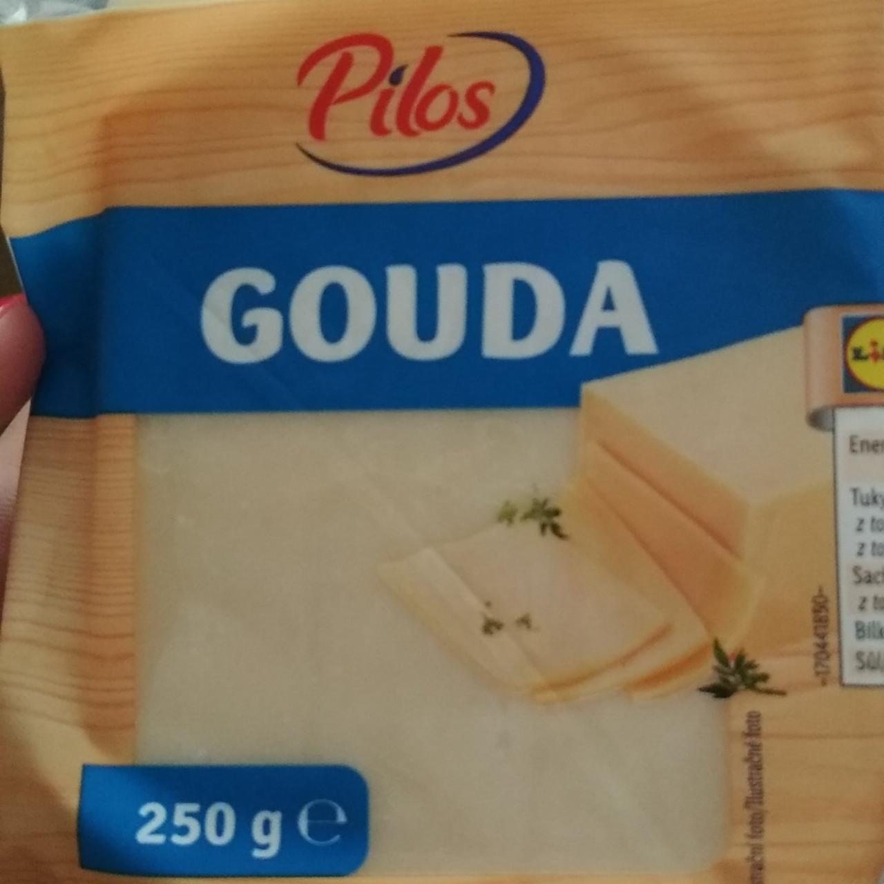 Fotografie - Gouda Pilos