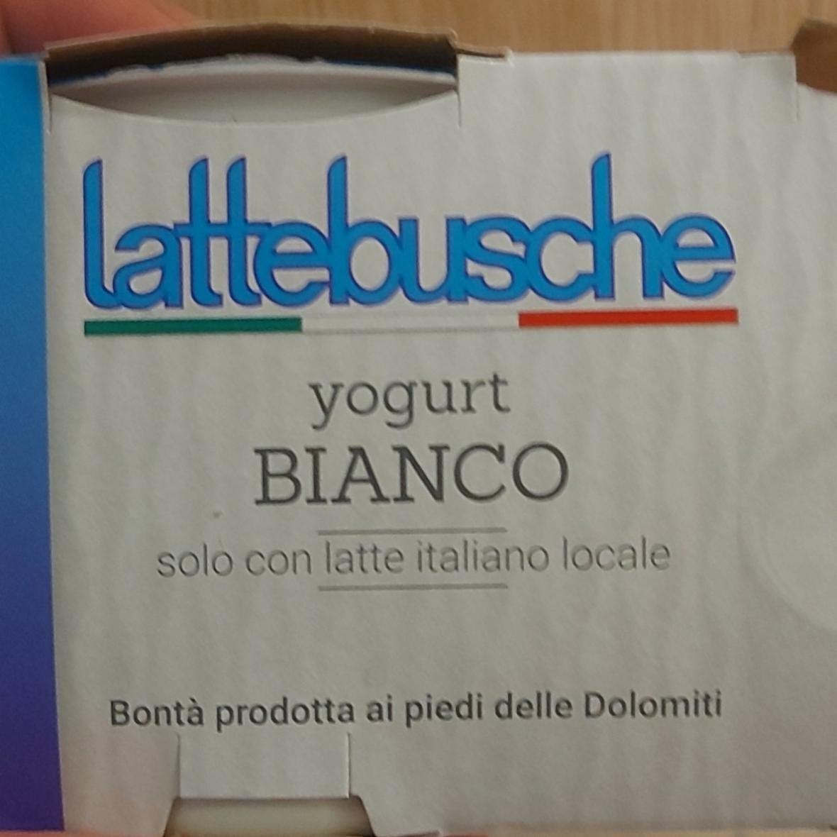 Fotografie - lattebusche yogurt bianco