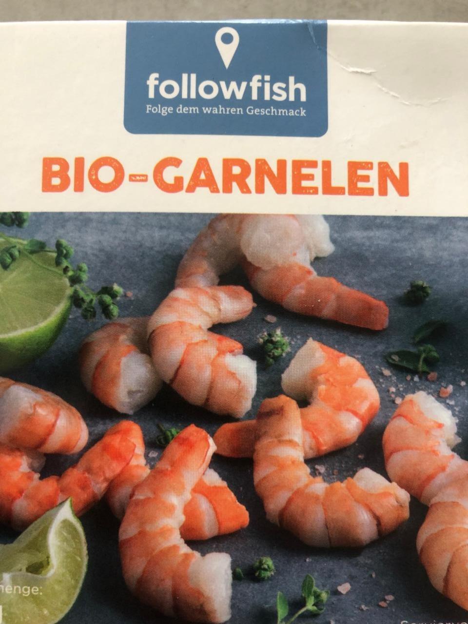 Fotografie - Bio Garnelen followfish