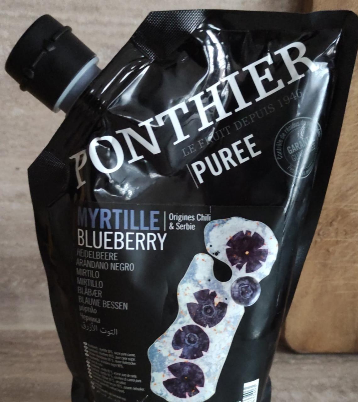 Fotografie - Puree Blueberry Ponthier