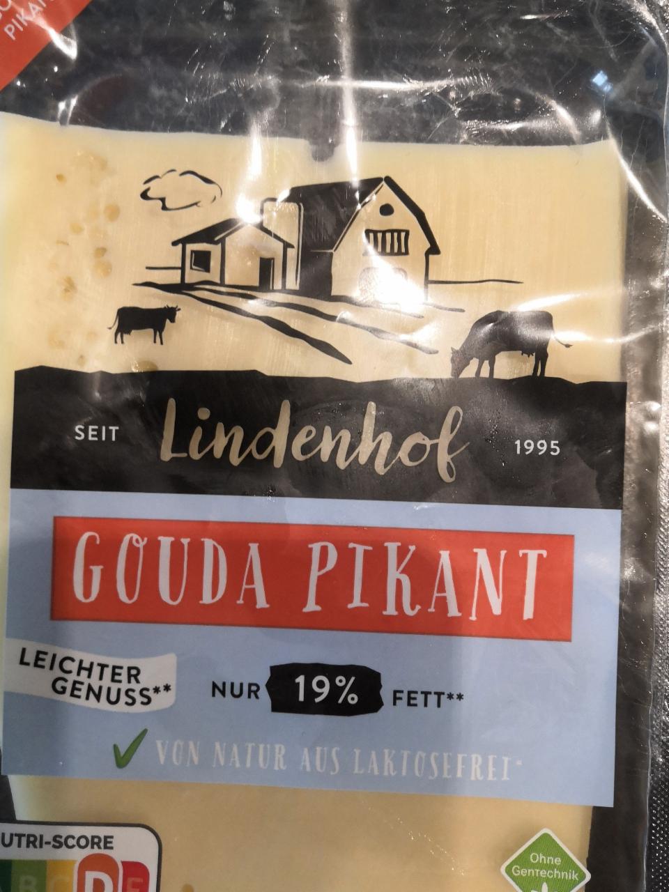 Fotografie - Gouda Pikant 19% fett Lindenhof