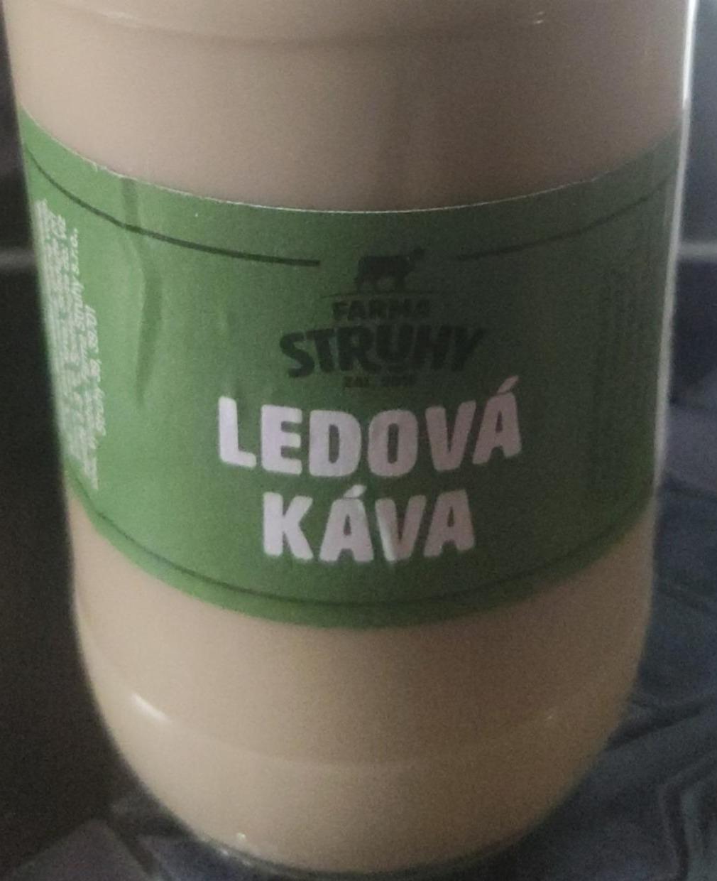 Fotografie - Ledová káva Farma Struhy