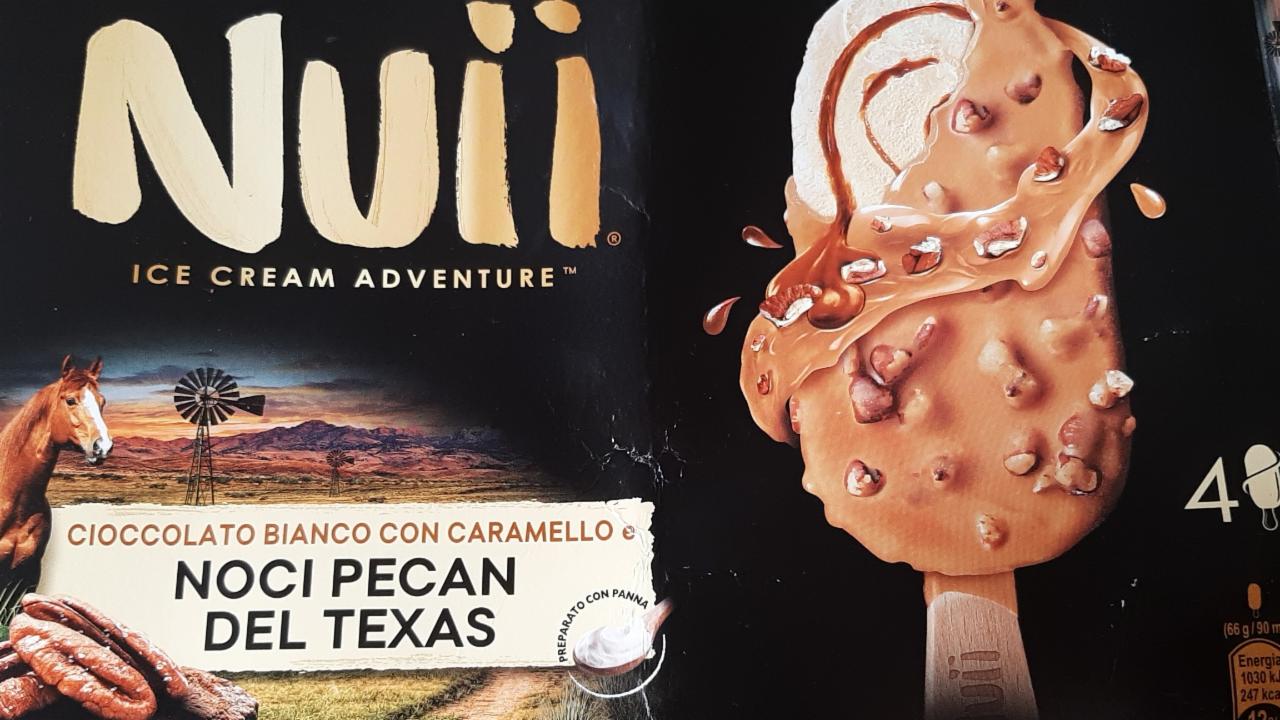 Fotografie - Ice cream adventure Noci pecan del Texa Nuii