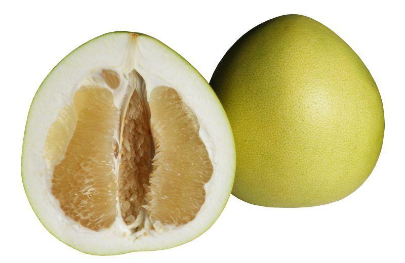 Fotografie - pomelo