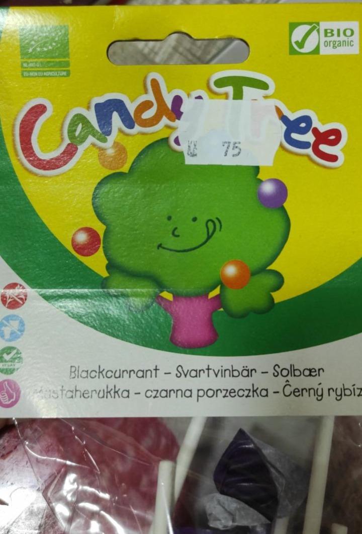 Fotografie - Bio Lízátko černý rybíz Candy Tree