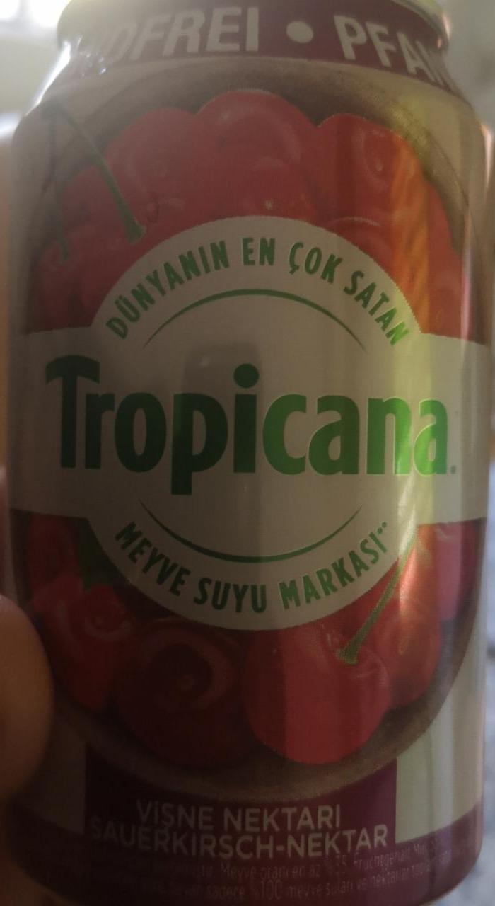 Fotografie - Tropicana Vişne Nektarı