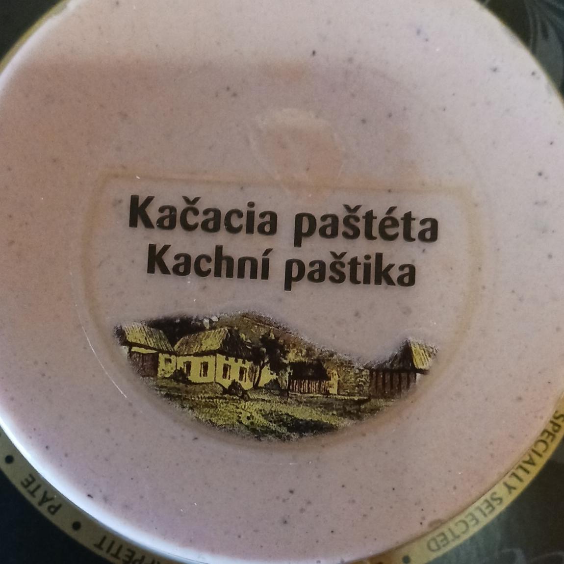 Fotografie - Kachní paštika Paté du Chef