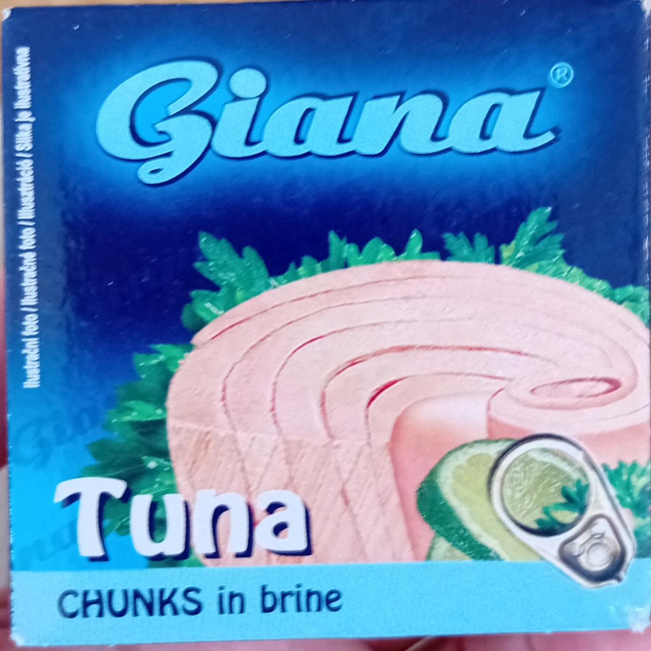 Fotografie - Tuna chunks in brine Giana