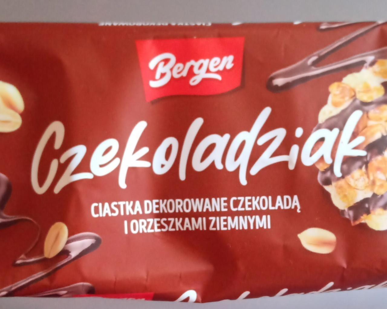 Fotografie - Czekoladziak ciastka dekorowane czekoladą i orzeszkami ziemnymi Bergen