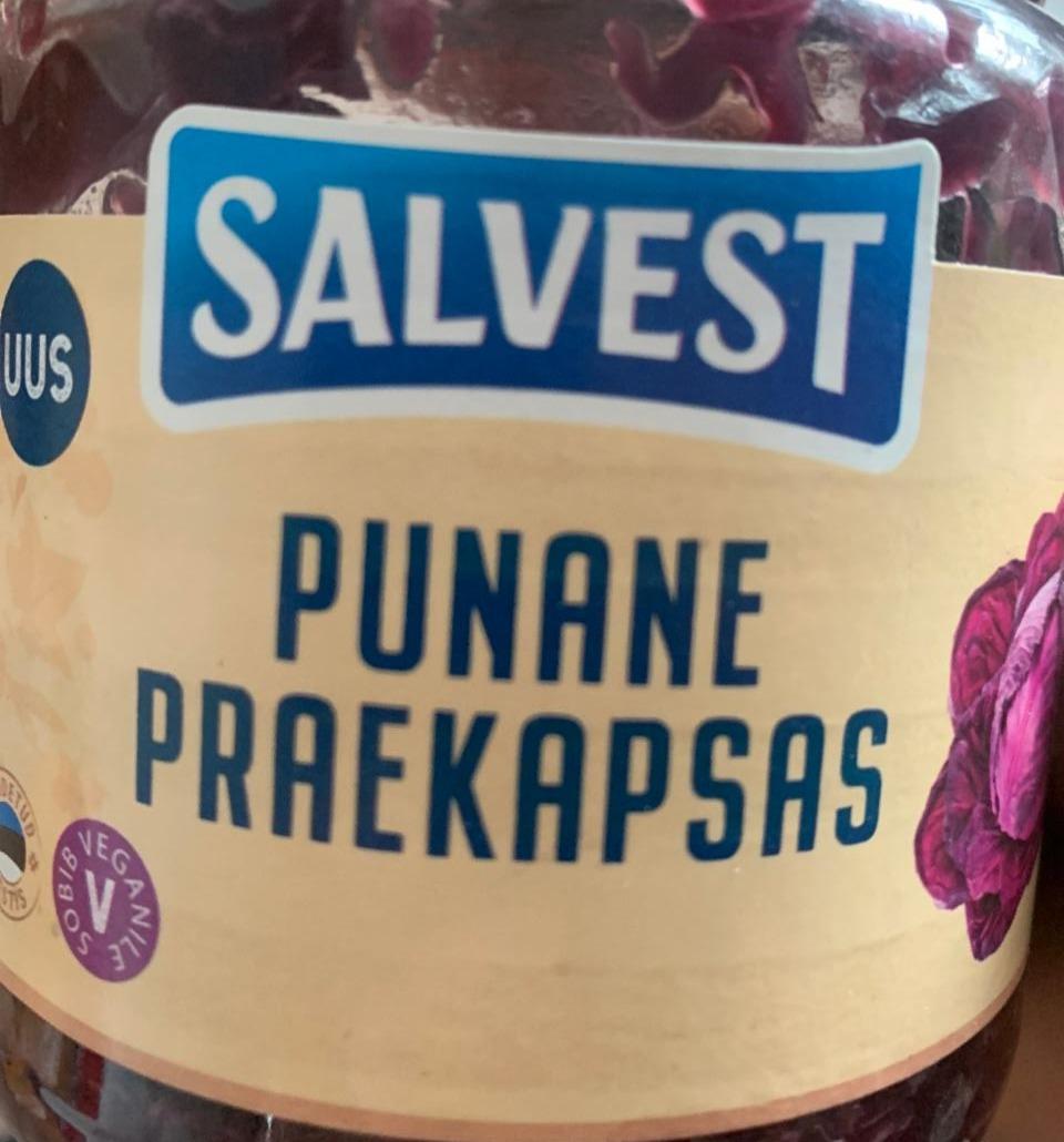 Fotografie - Punane Praekapsas Salvest