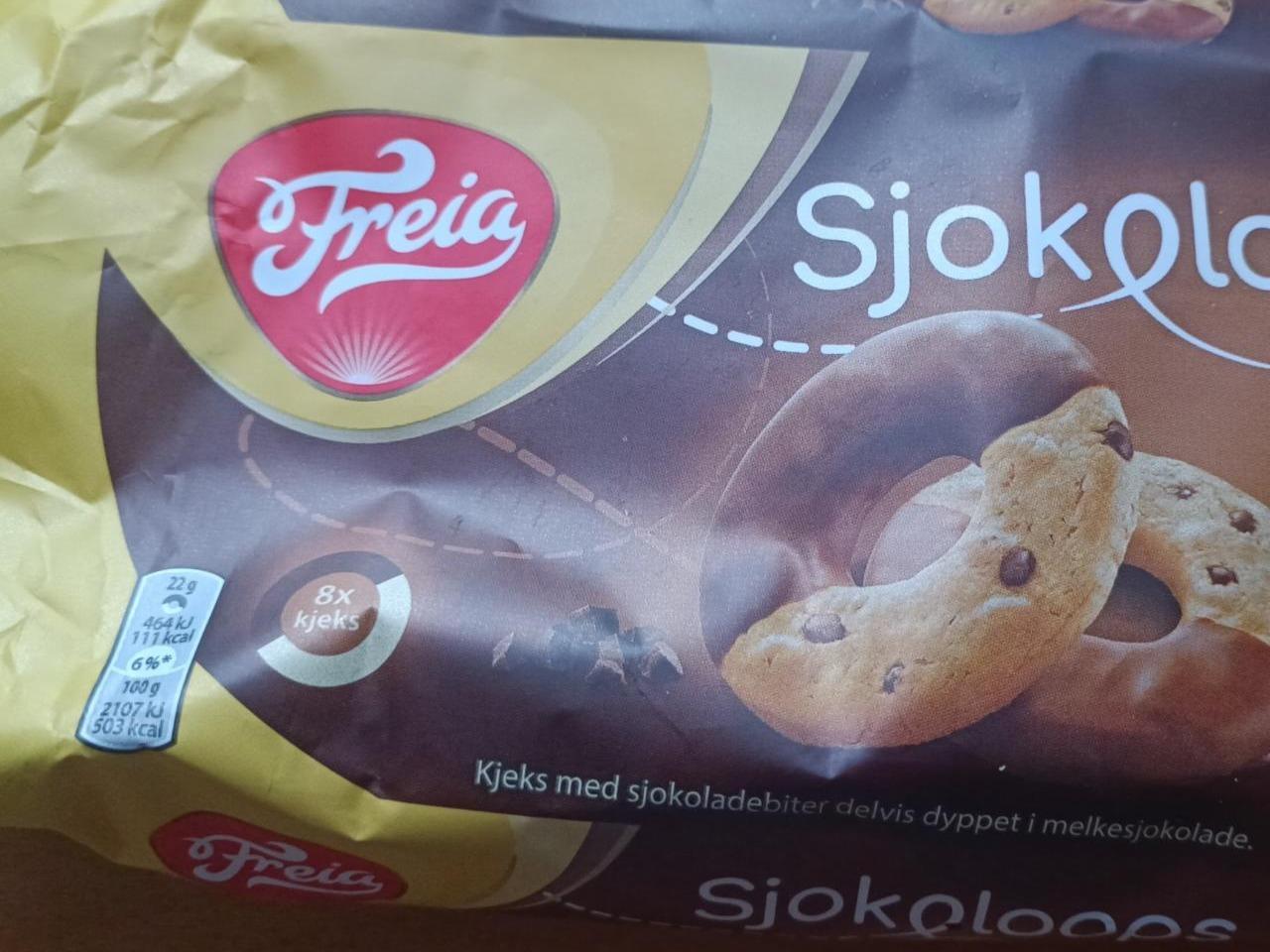 Fotografie - Sjokoloops Freyia