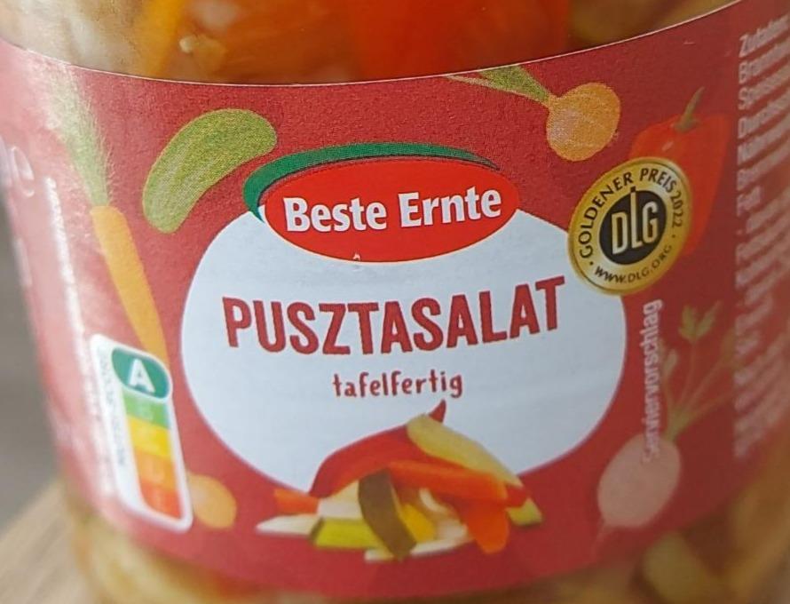 Fotografie - Pusztasalat Beste Ernte