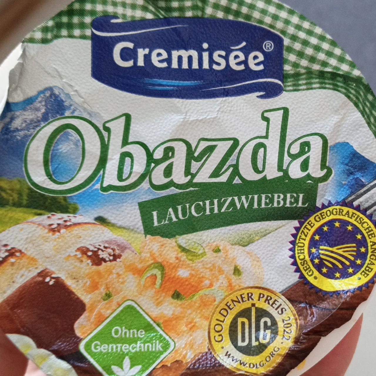 Fotografie - Obazda Lauchzwiebel Cremisée