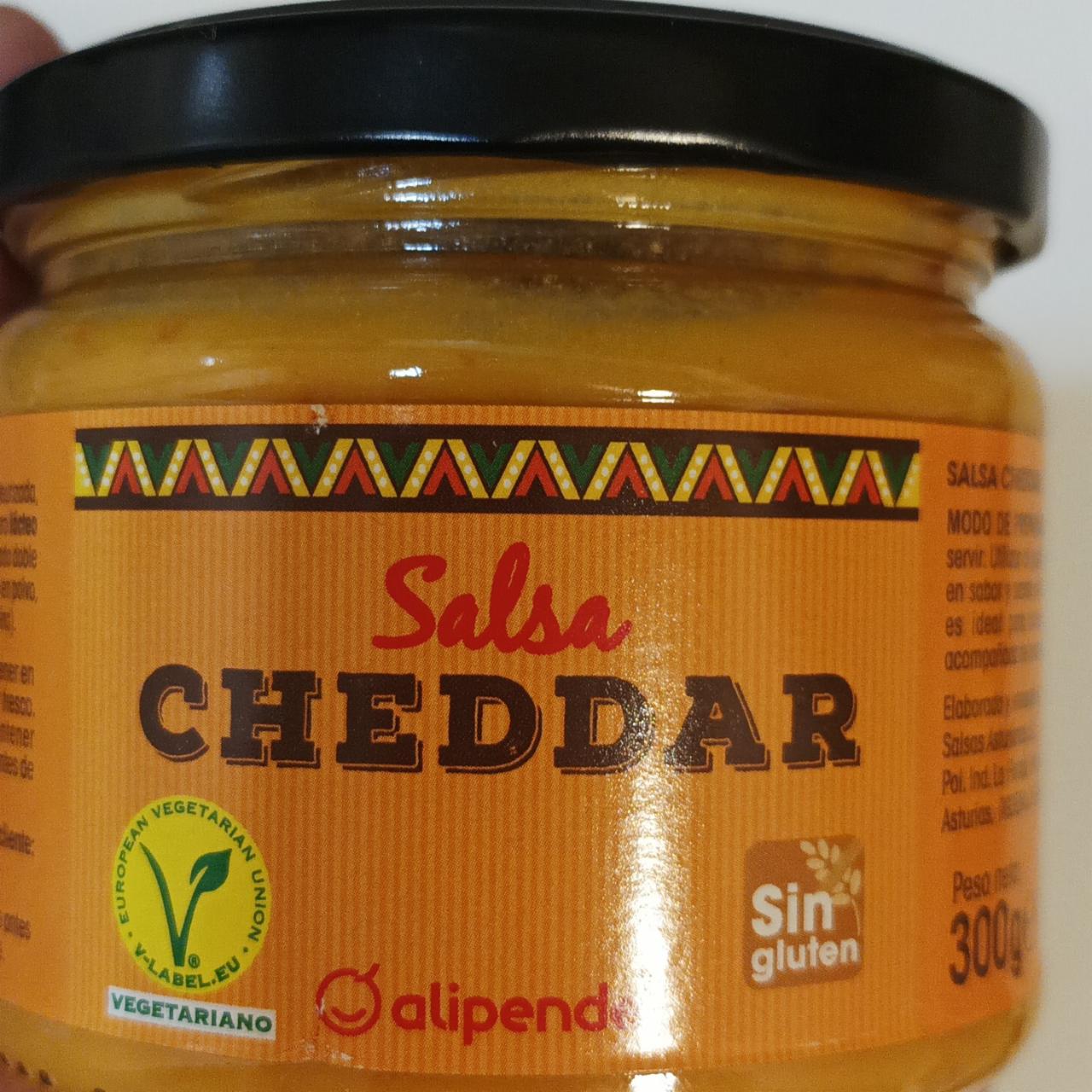 Fotografie - Salsa Cheddar Alipende