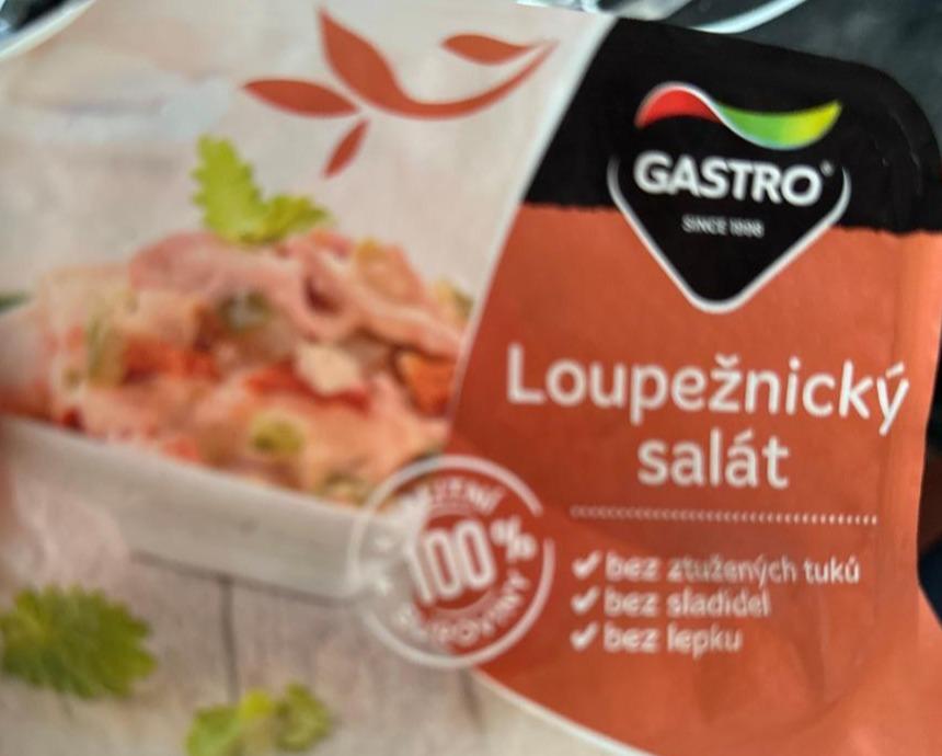 Fotografie - Loupežnický salát Gastro