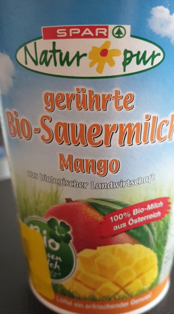 Fotografie - Bio Sauermilch Mango Spar Natur Pur