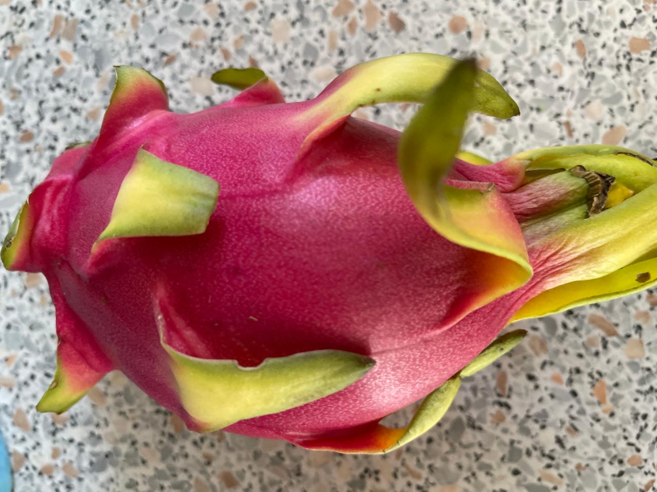 Fotografie - Dragon Fruit