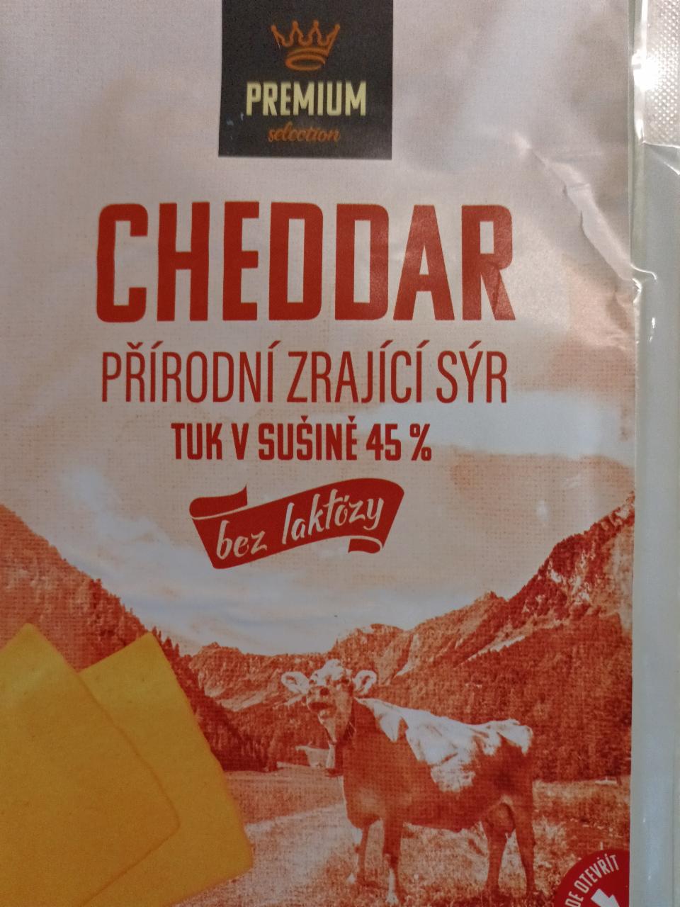 Fotografie - cheddar bez laktózy 45%