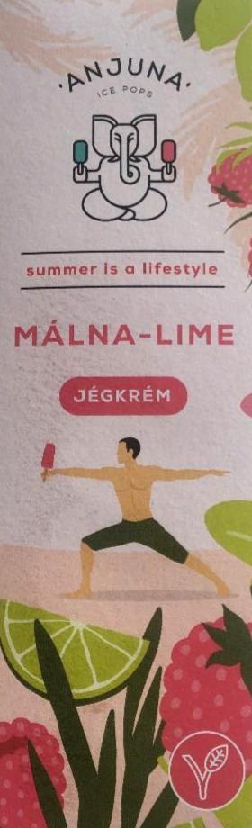 Fotografie - Málna - lime jégkrém Anjuna