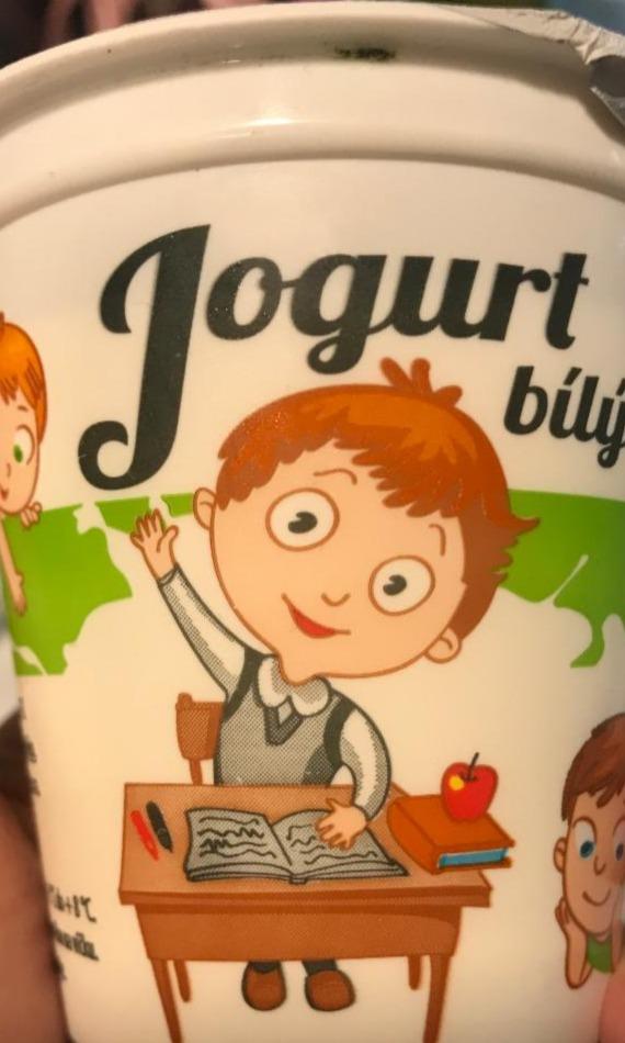 Fotografie - jogurt bílý