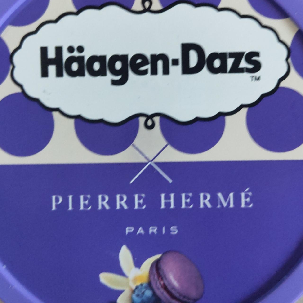 Fotografie - Pierre Herme Macaron Vanilla & Blueberry Häagen-Dazs