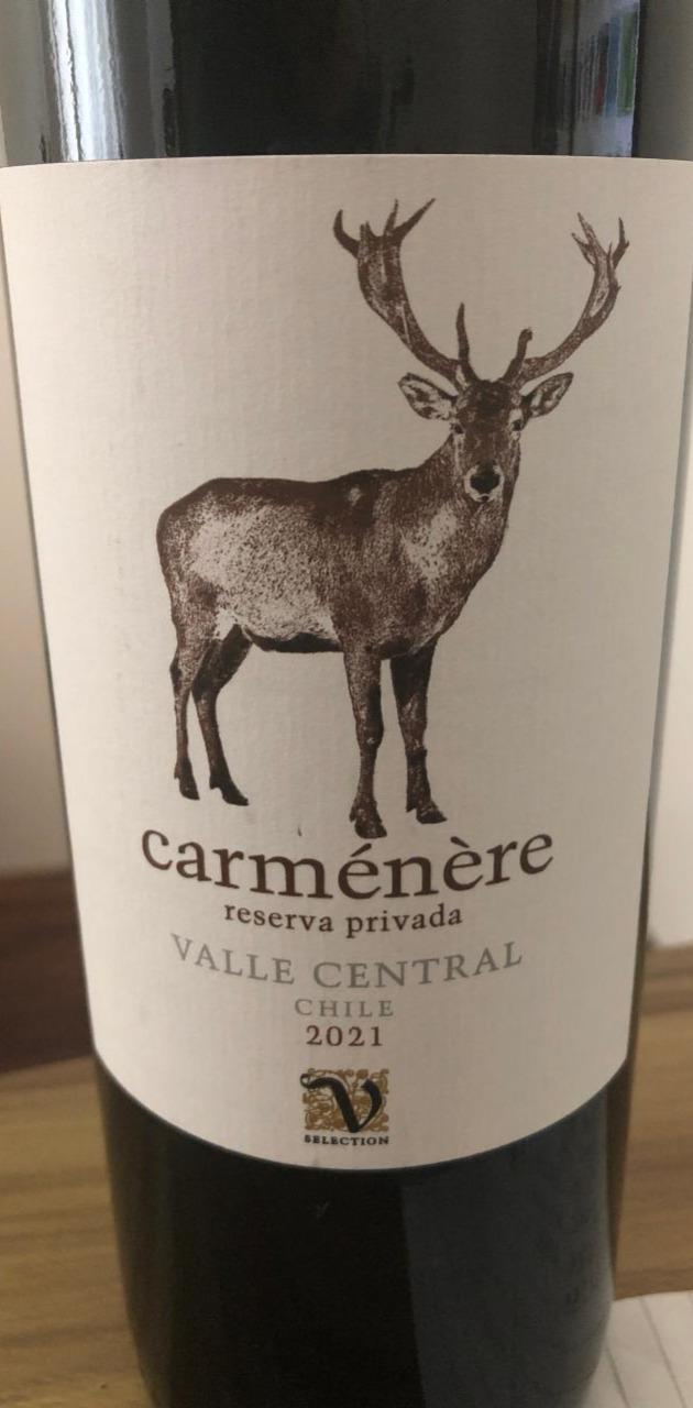 Fotografie - Červené víno Carmenere