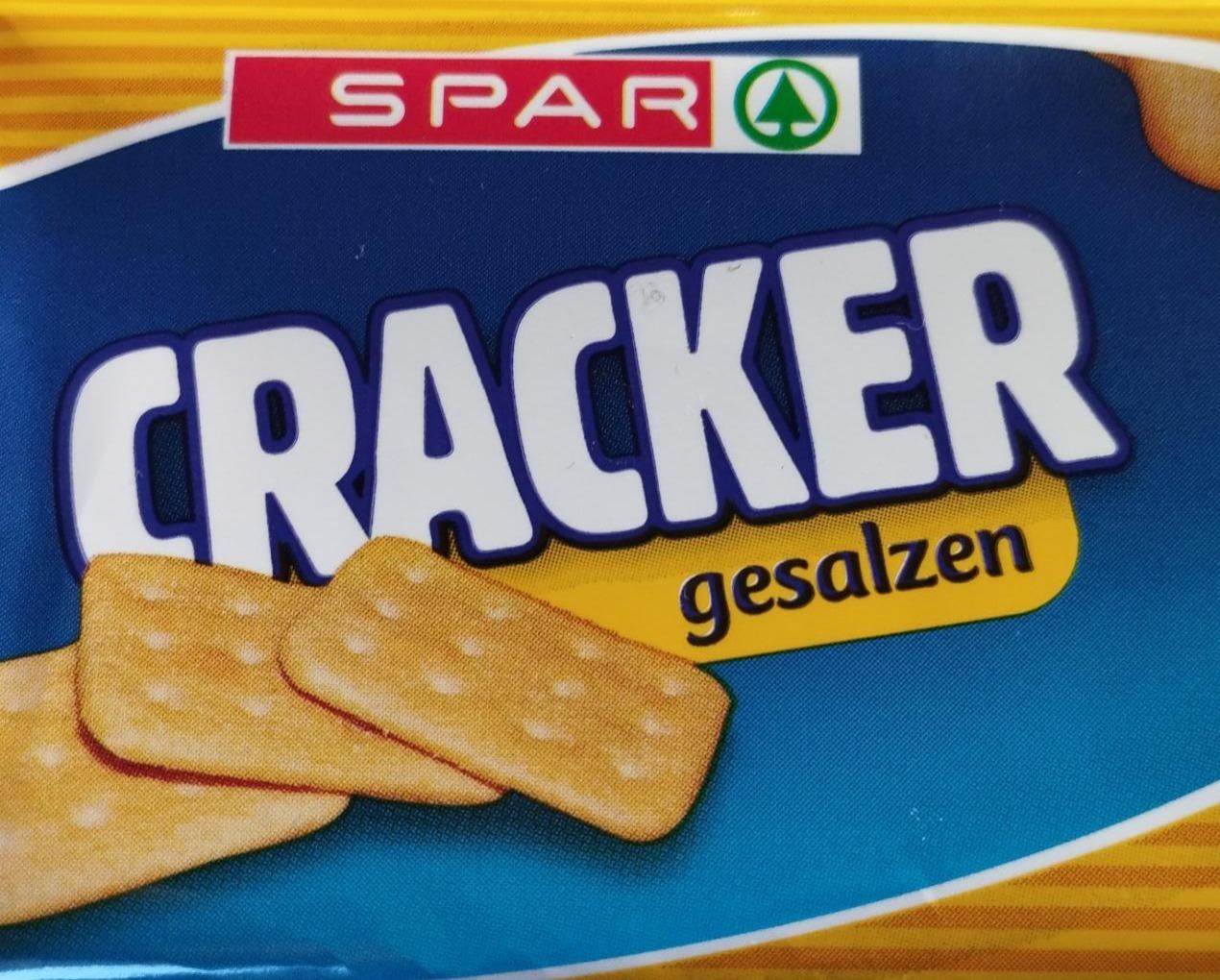 Fotografie - Cracker gesalzen Spar