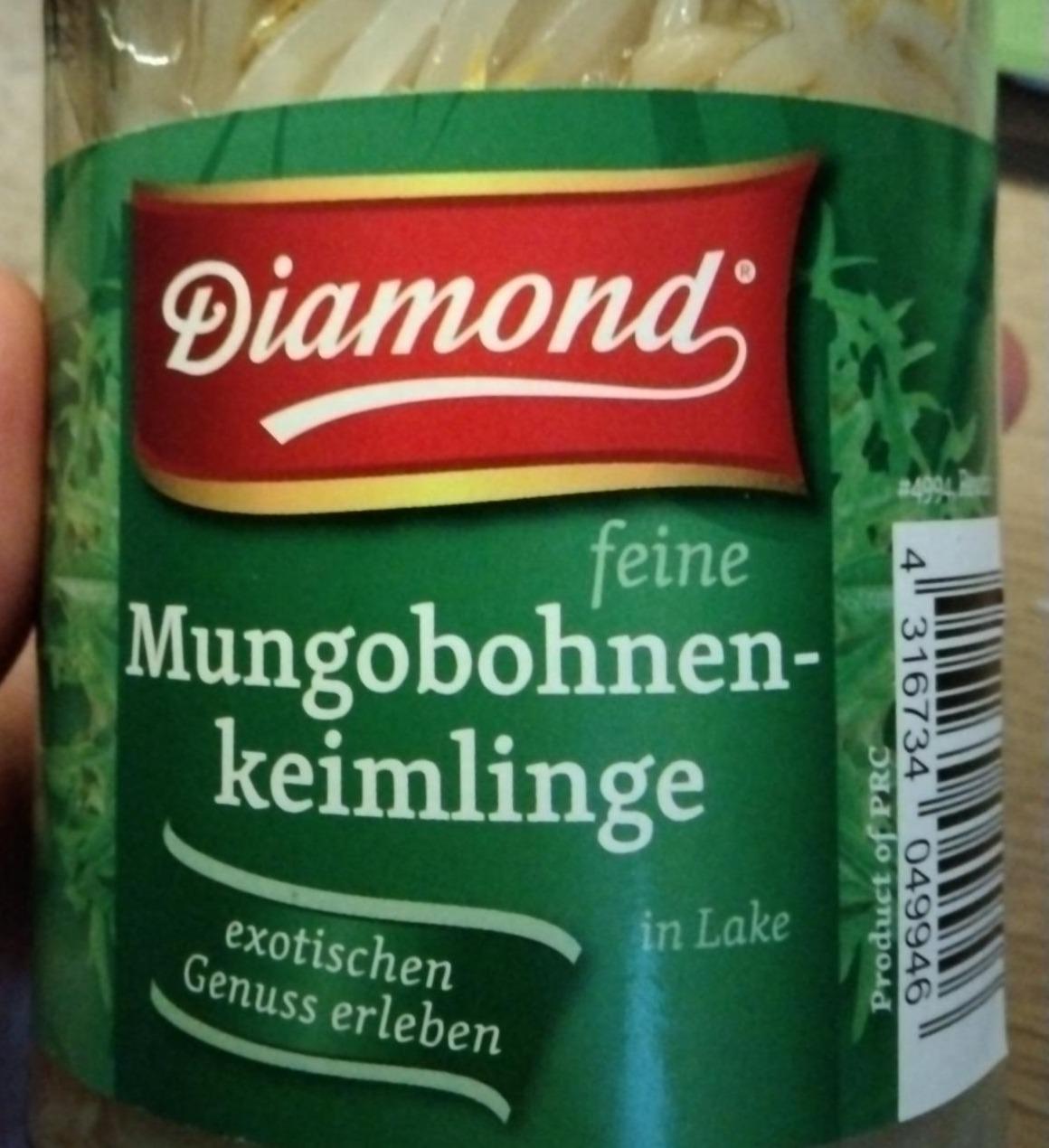 Fotografie - Feine Mungobohnenkeimlinge Diamond