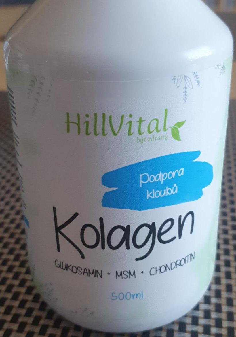 Fotografie - Kolagen HillVital