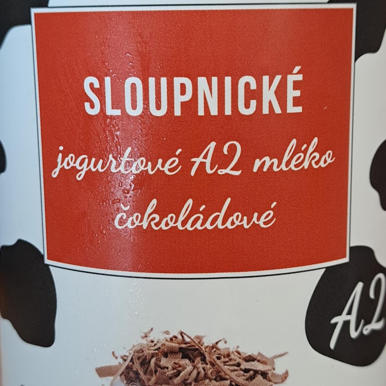 Fotografie - Sloupnické jogurtové A2 mléko čokoládové ZD Sloupnice