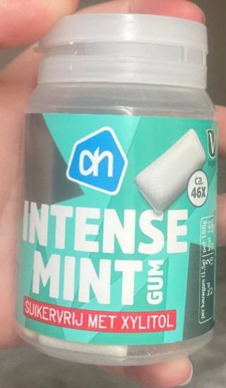 Fotografie - Intense Mint Gum AH