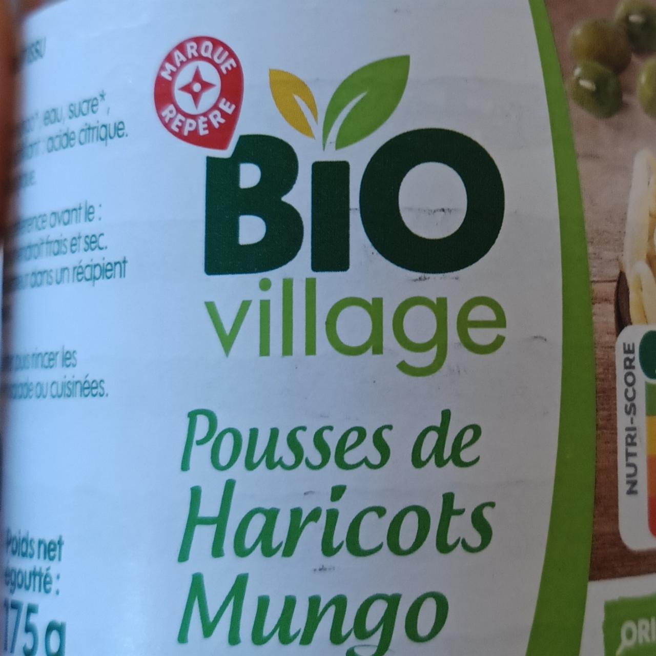 Fotografie - Pousses de Haricots Mungo Bio Village