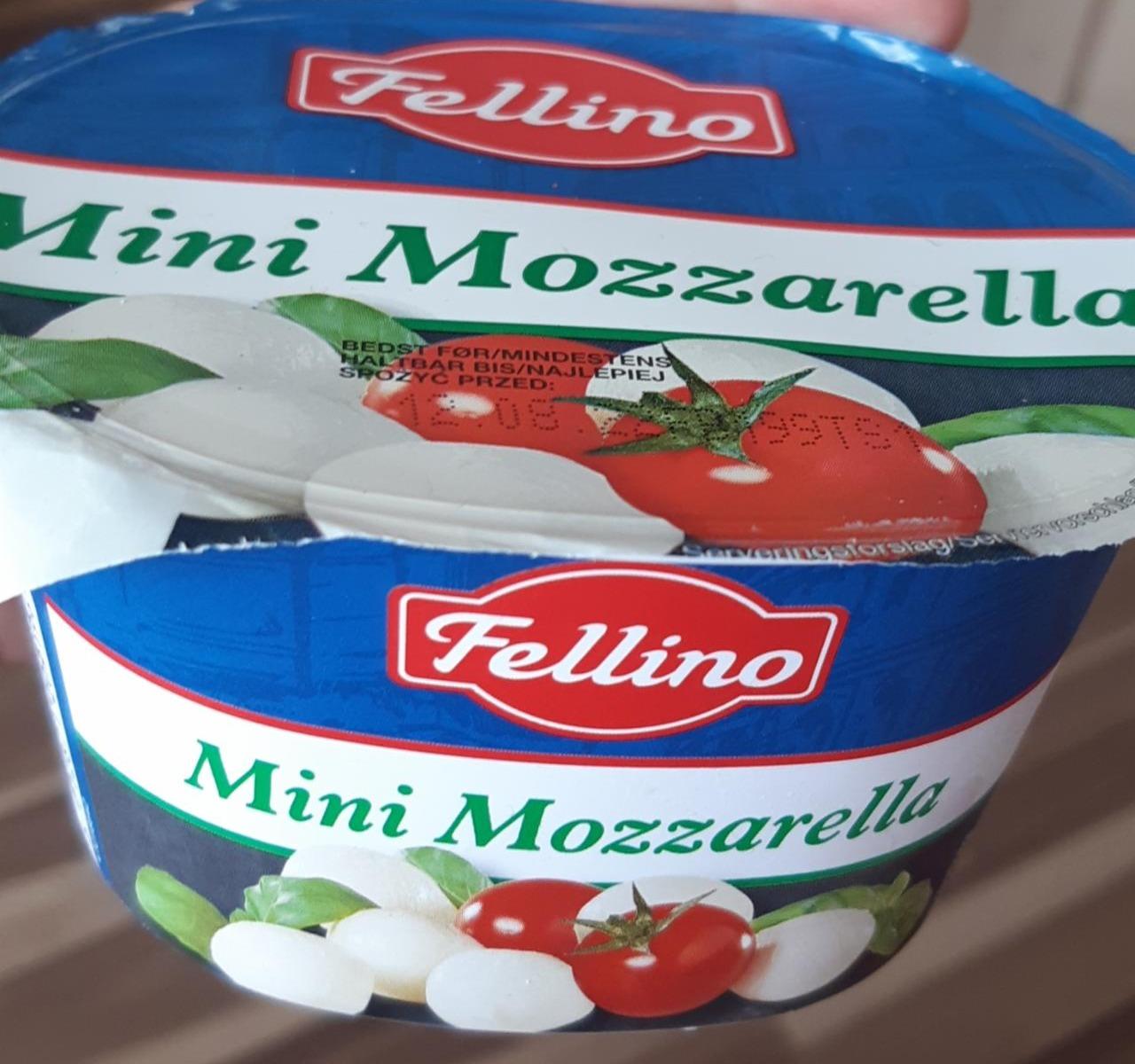 Fotografie - Mini Mozzarella Fellino