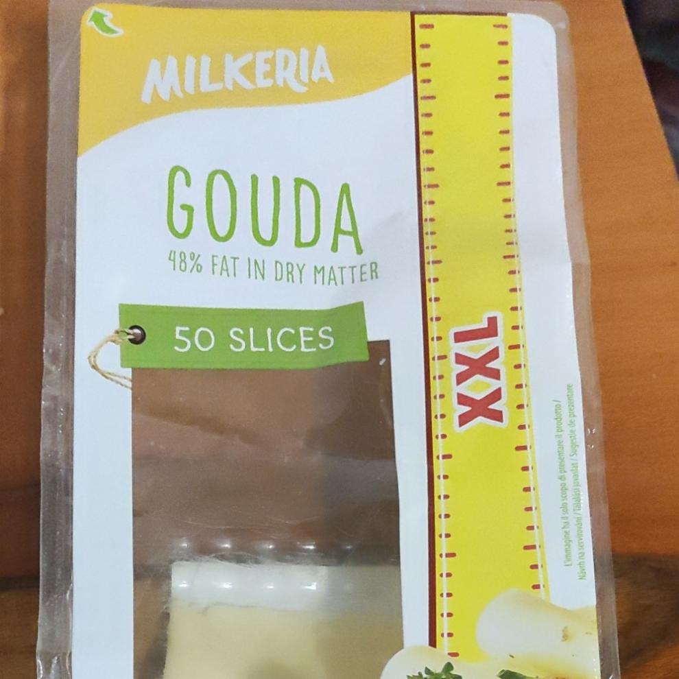 Fotografie - Gouda 48% Milkeria