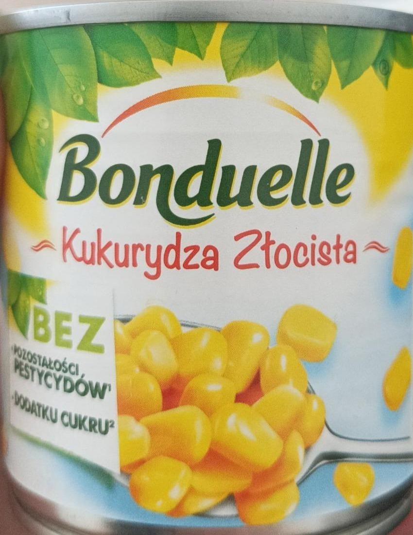 Fotografie - Bonduelki Kukurydza Złocista Bonduelle