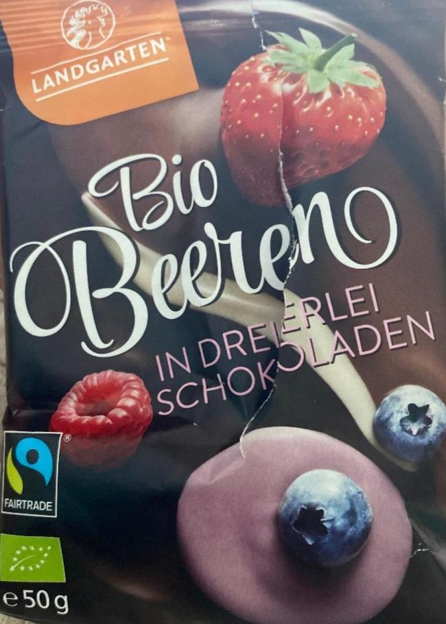 Fotografie - Bio Beeren in dreierlei schokoladen Landgarten