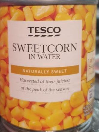 Fotografie - Sweetcorn in watter Tesco