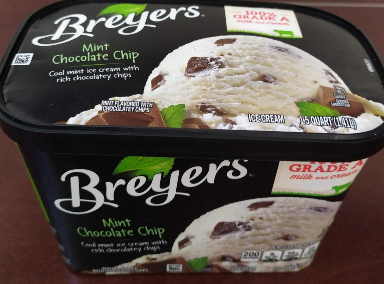 Fotografie - Mint Chocolate Chip Breyers