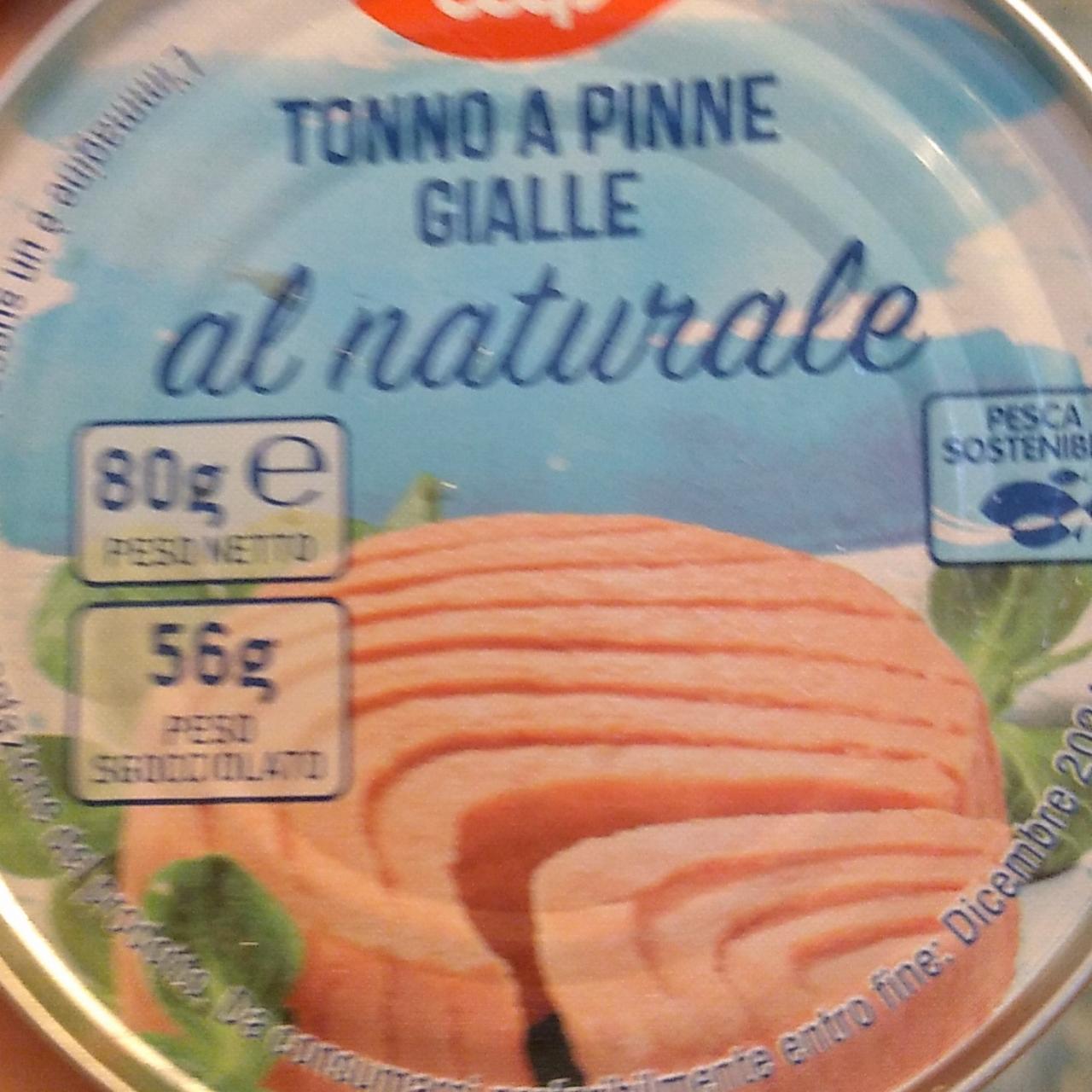 Fotografie - tonno a pinne gialle al naturale coop