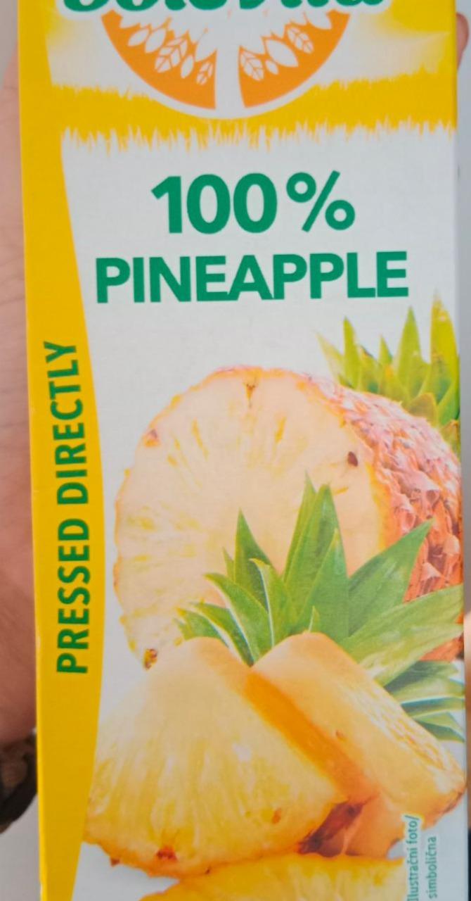 Fotografie - 100% Pinapple Solevita