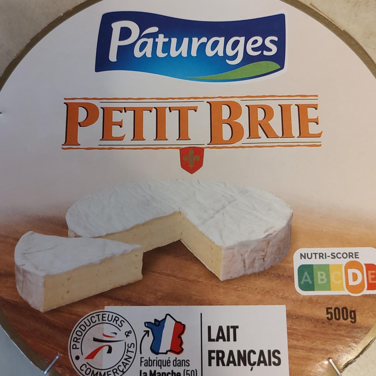 Fotografie - Petit Brie Páturages