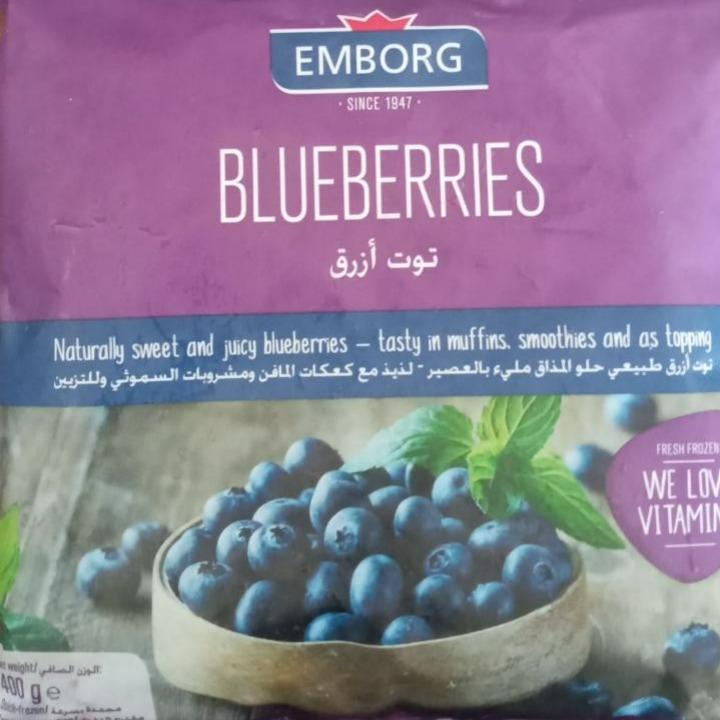 Fotografie - Blueberries Emborg