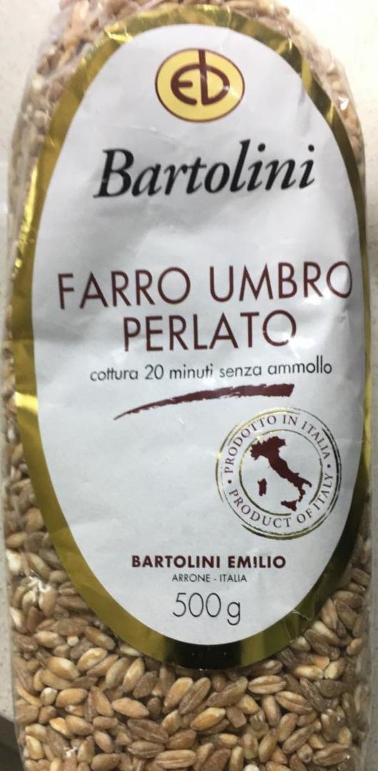 Fotografie - Farro umbro perlato