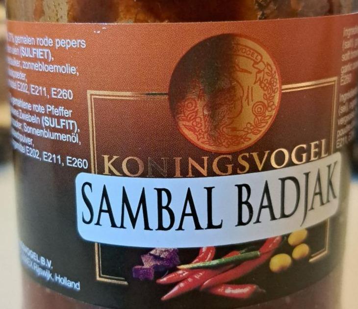 Fotografie - Sambal Badjak Köningsvogel